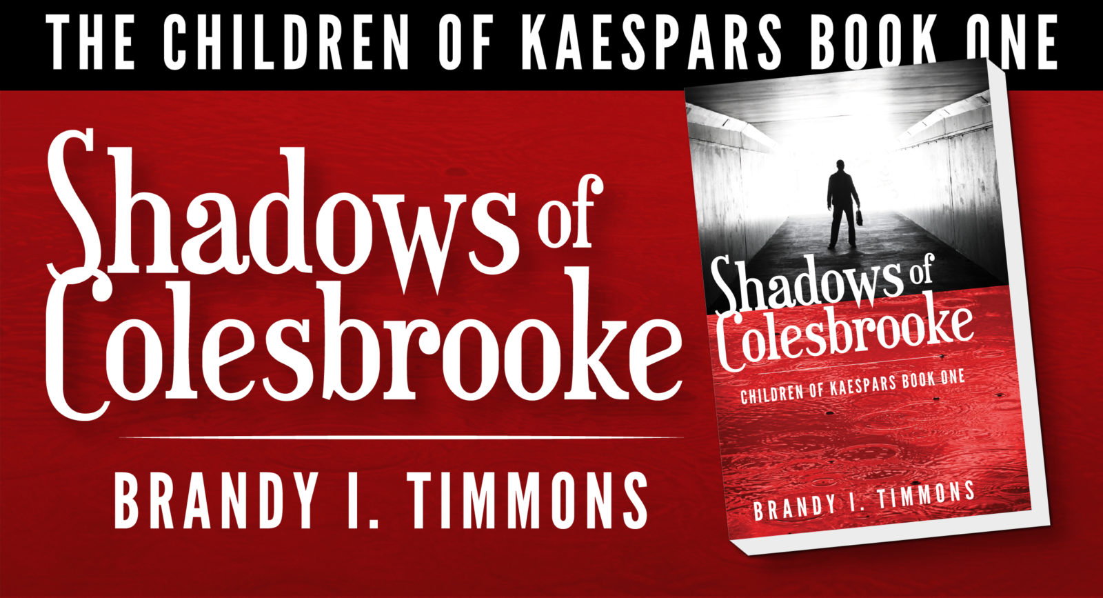 Shadows of Colesbrooke by Brandy I Timmons book 1 of Children of Kaespars