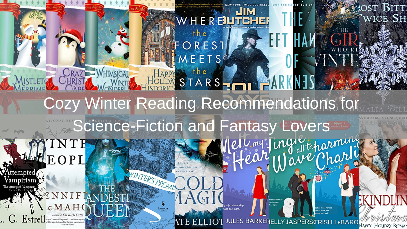 Cozy winter reading recommendations